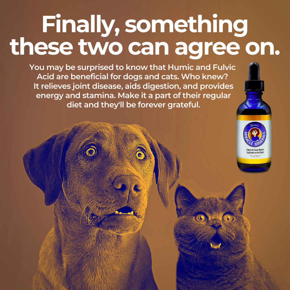 Mimi's Miracle Minerals Dirobi